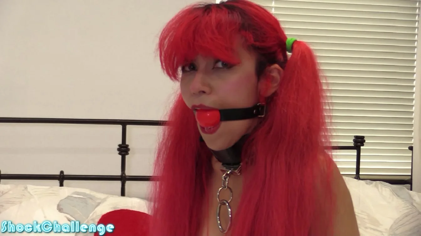 ShockChallenge Azul Is Back XXX